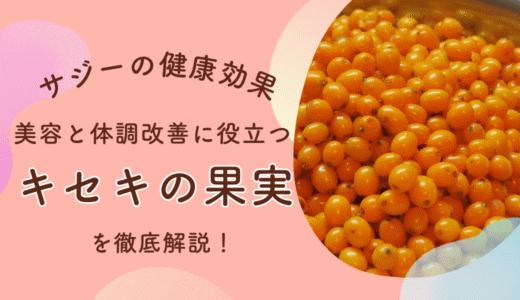 【サジーの健康効果】美容と体調改善に役立つキセキの果実を徹底解説！